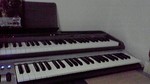2009040822520000.jpg